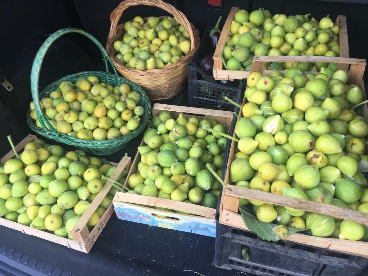 Il Giardino Di Nonno Agostino Acomodação com café da manhã Castellammare di Stabia Exterior foto