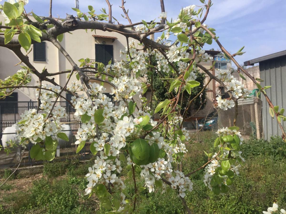 Il Giardino Di Nonno Agostino Acomodação com café da manhã Castellammare di Stabia Exterior foto