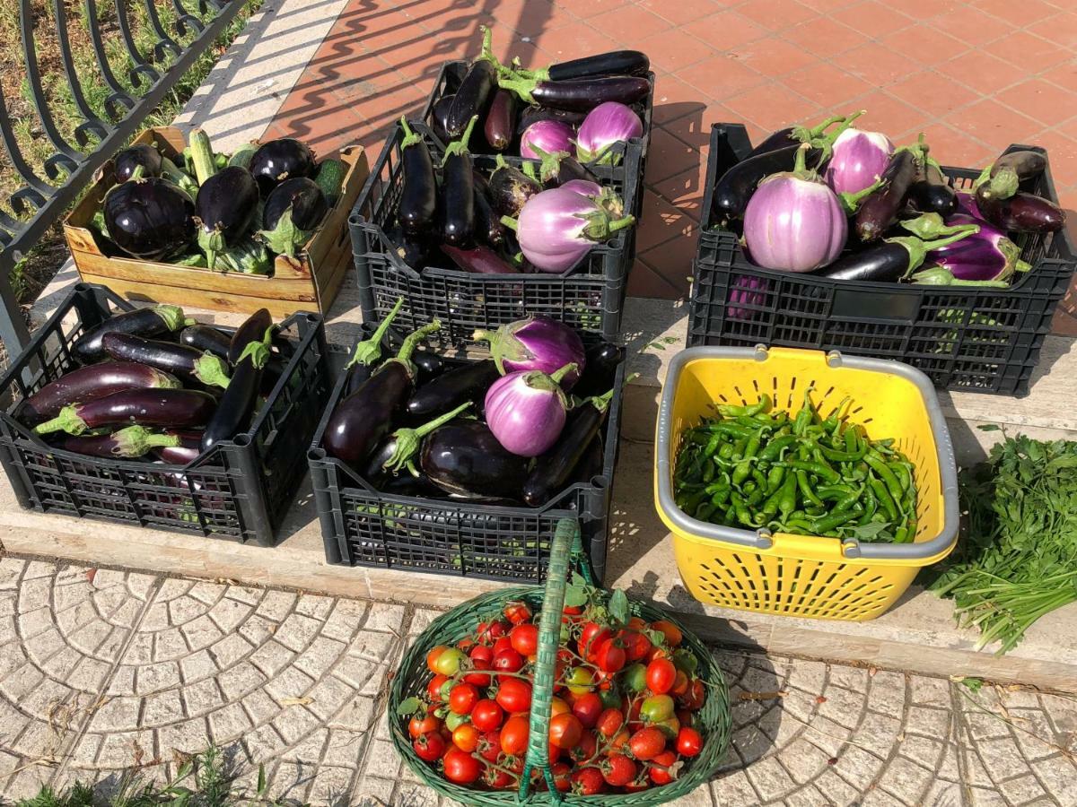 Il Giardino Di Nonno Agostino Acomodação com café da manhã Castellammare di Stabia Exterior foto